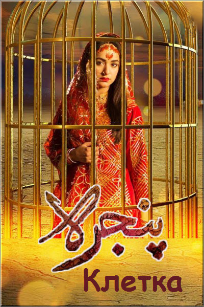 Пакистанский сериал Клетка / Pinjra Все серии: 1-27 серия (Пакистан, 2017) смотреть онлайн на русском языке в хорошем качестве бесплатно.