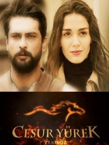 Храброе сердце турецкий сериал